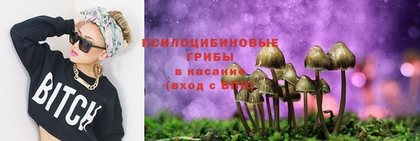 соль ск Волосово