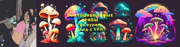 МДПВ Волоколамск