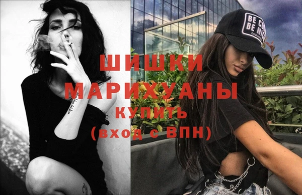 соль ск Волосово