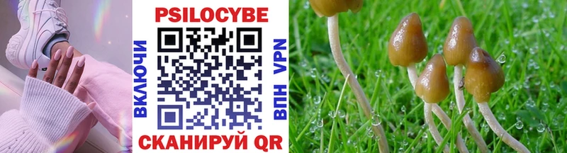 Купить  Кыштым  Галлюциногенные грибы мухоморы 