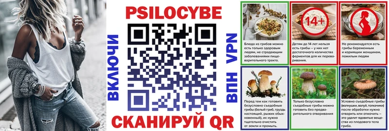 Псилоцибиновые грибы Psilocybine cubensis Кыштым